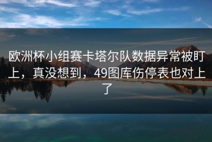 欧洲杯小组赛卡塔尔队数据异常被盯上，真没想到，49图库伤停表也对上了