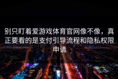 别只盯着爱游戏体育官网像不像，真正要看的是支付引导流程和隐私权限申请