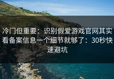 冷门但重要：识别假爱游戏官网其实看备案信息一个细节就够了：30秒快速避坑