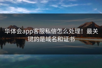 华体会app客服私信怎么处理！最关键的是域名和证书