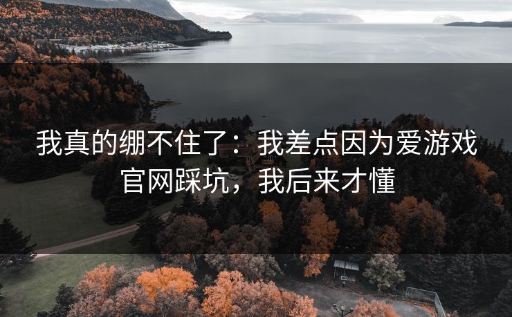我真的绷不住了：我差点因为爱游戏官网踩坑，我后来才懂